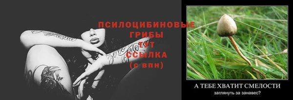 прущие крисы Касимов