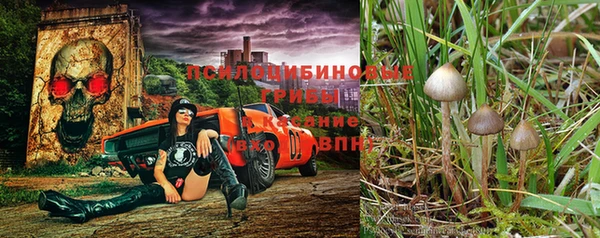 MESCALINE Карталы