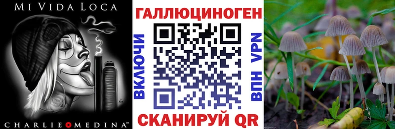 Купить закладки  Солигалич  Псилоцибиновые грибы Psilocybine cubensis 